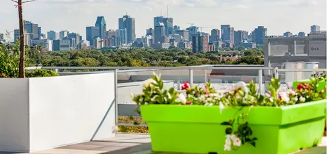 Terrace with a green flower planter and a city skyline beyond
