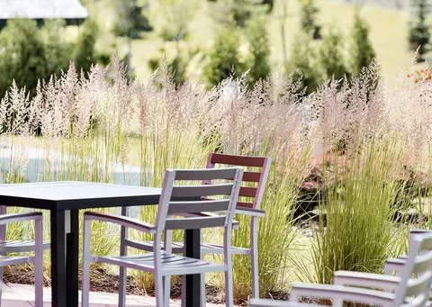 Patio table and chairs beside tall flowering grasses