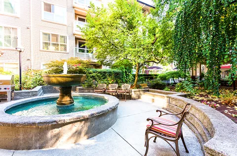 Courtyard fountain and chairs beneath leafy trees