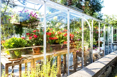 Glass greenhouse filled with potted flowers