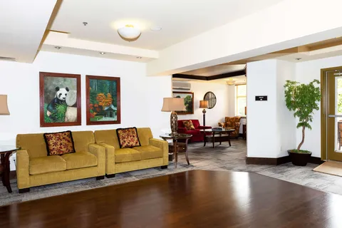 Room with yellow sofas, framed pictures, a lamp and a potted tree