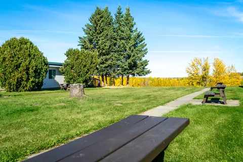 Lawn with picnic tables, a concrete path and mature trees