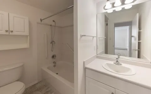 Bathroom with a bathtub, toilet, sink, white cabinets and a wall mirror