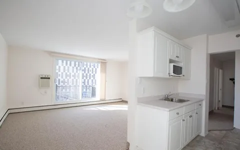 Empty carpeted room beside a white kitchenette and a large window