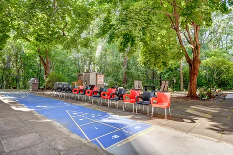 Outdoor shuffleboard court beside rows of chairs and trees