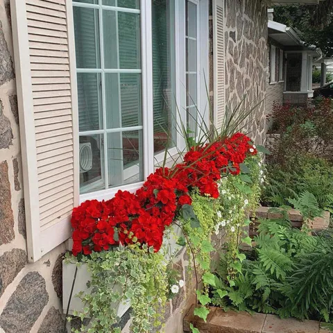 Window boxes with red flowers beneath the residence windows.