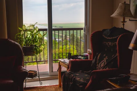 Room with red upholstered chairs beside a glazed balcony door and a plant