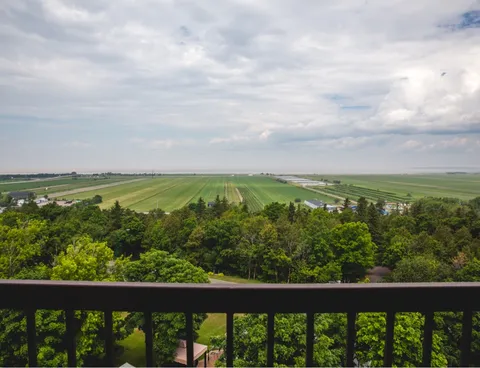 View over trees and fields beyond a dark balcony railing