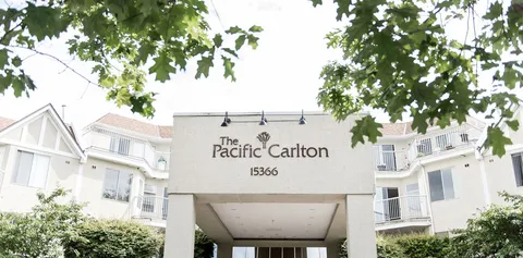 Building entrance beneath a cream sign and leafy branches
