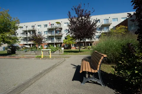 Courtyard with a bench, raised planting beds and the residence's balconies