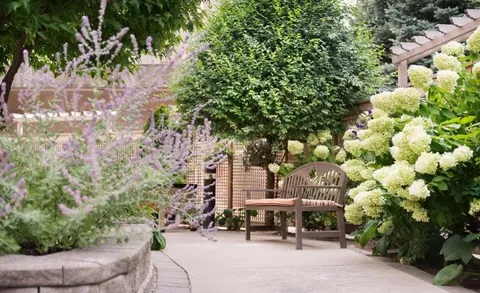 Courtyard garden with a wooden bench and flowering shrubs.