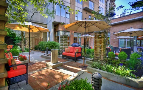 Courtyard patio with red cushions, umbrellas, trellises and garden beds