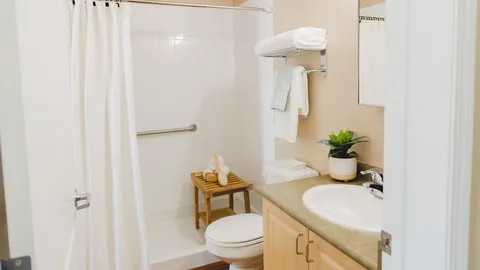 Bathroom vanity and accessible shower.