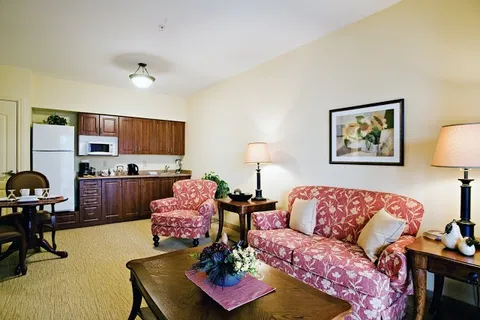 Sitting area with a patterned sofa and armchair beside a kitchenette