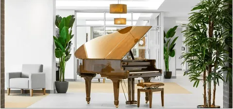 Grand piano beside chairs and potted plants