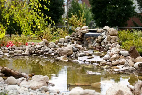 Garden pond with a small rock waterfall and surrounding plants