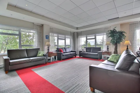 Lounge with dark sofas, table lamps, large windows and a red-bordered rug