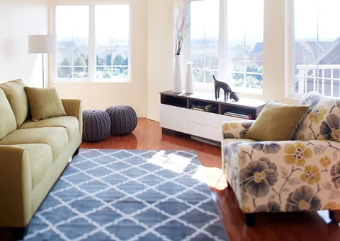 Sitting area with a sofa, patterned armchair, rug and windows