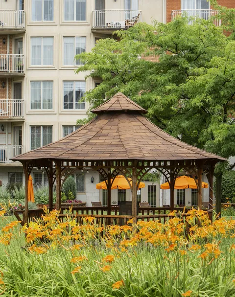 Wooden gazebo among flowering plants beside the residence