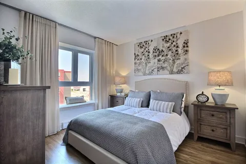 Bedroom with a grey bedspread, bedside lamps and tree artwork