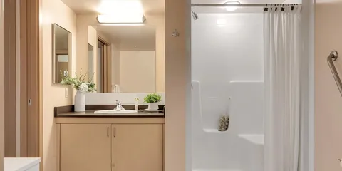 Bathroom with a vanity, mirror and walk-in shower
