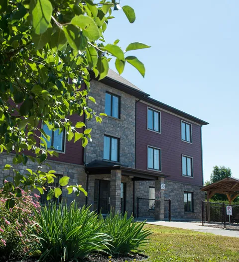 Side of a three-storey building with trees, a planted bed and a covered entrance