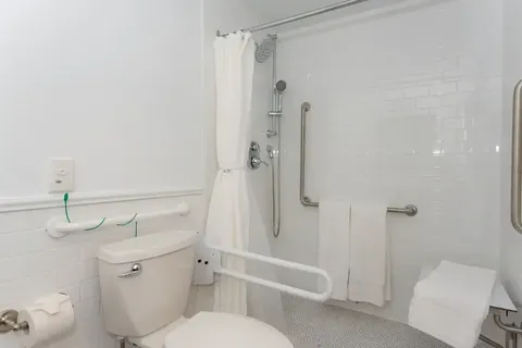 Accessible bathroom with a walk-in shower, toilet and grab rails