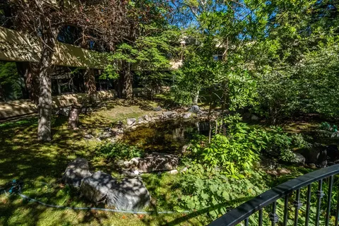 Garden pond with rocks, leafy trees and shrubs