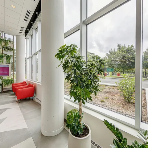 Entrance lobby with tall windows, plants and red benches.