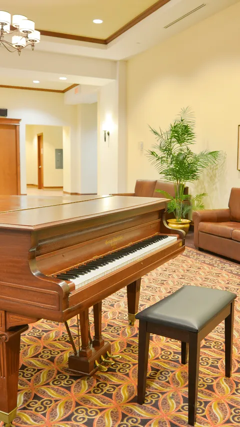Grand piano and bench on patterned carpet beside armchairs and a potted plant