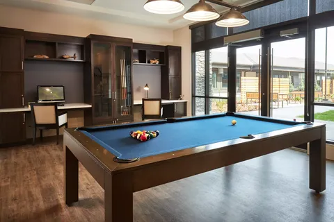 Room with a blue billiards table and seating beside large windows