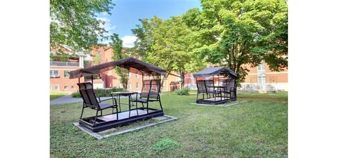Lawn with covered swing benches beneath mature trees.