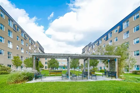 Courtyard with a pergola, paths and planted beds