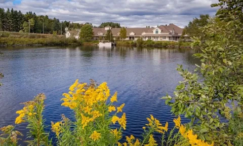 Low building across a lake, with trees and yellow flowers in the foreground