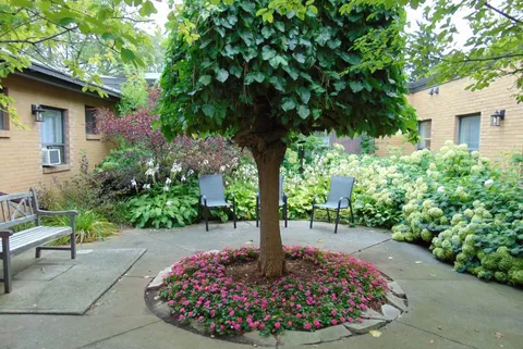 Courtyard with a leafy tree, pink flowers, white flowering shrubs, a bench and chairs