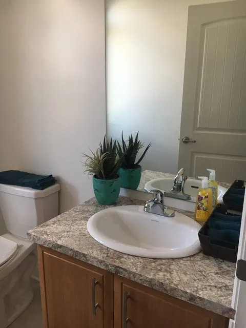 Bathroom with a white washbasin, mirror, toilet and potted plant