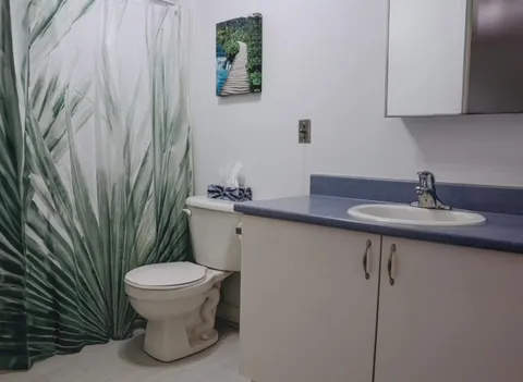 Bathroom with a sink, toilet, mirrored cabinet and green shower curtain