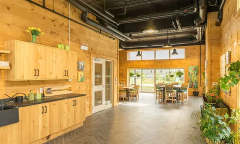 Room with wood walls, a sink, cabinets and plants.