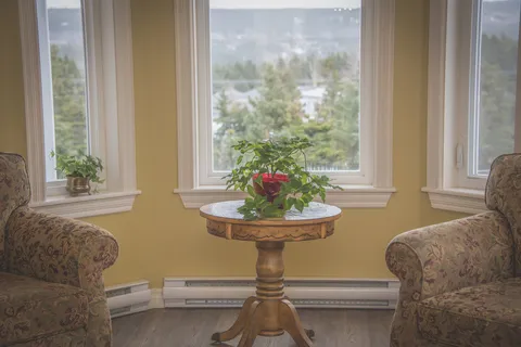 Armchairs and a side table beside large windows and plants