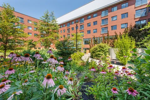 Multi-storey brick residence behind trees and purple coneflowers