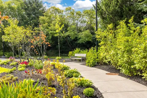 Paved garden path beside flowering beds, shrubs, trees and a wooden bench