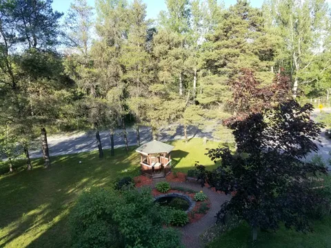 Garden with a gazebo, small pond, benches and tall trees
