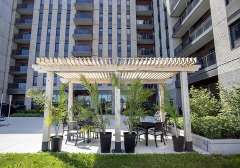 Patio tables beneath a white pergola beside planters and the residence