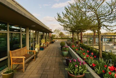Paved terrace with benches, planters and flowering tulips beside glass doors
