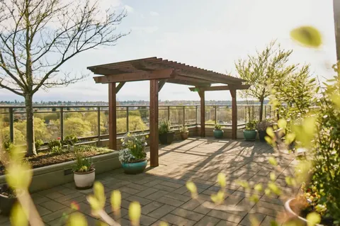 Wooden pergola over a paved terrace bordered by planters