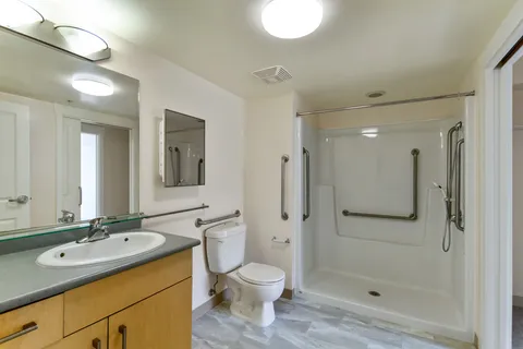 Bathroom with a shower, toilet, sink and grab bars