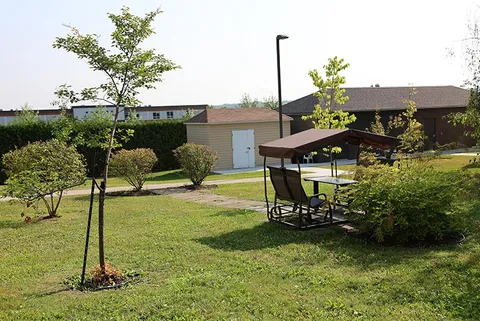 Canopy swing on a lawn beside shrubs and a path