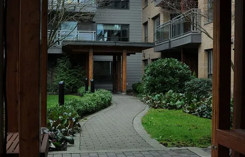 Garden path beside shrubs leading toward the building