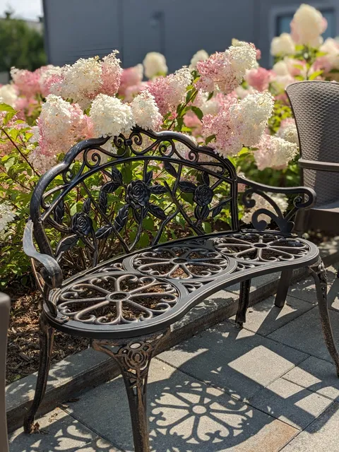 Garden bench surrounded by flowering shrubs.
