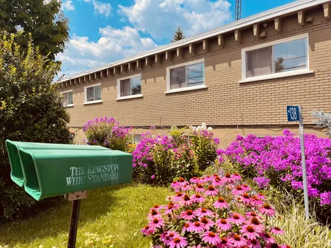 Flower beds beside a brick residence wall and newspaper box.
